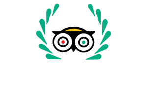 Trip Advisor Logo